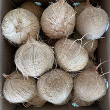 Load image into Gallery viewer, Coconut Dry
