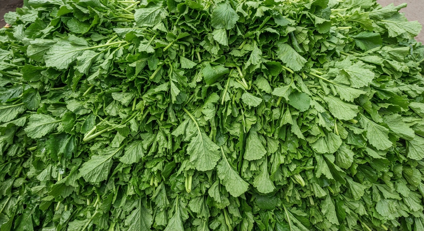 Mustard Saag
