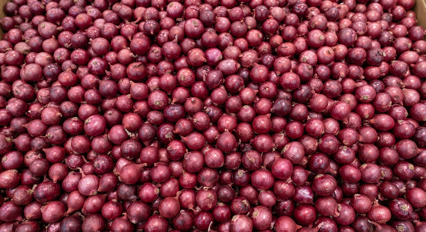 Pearl Red Onion