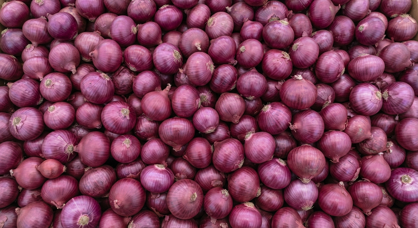 Red Onion